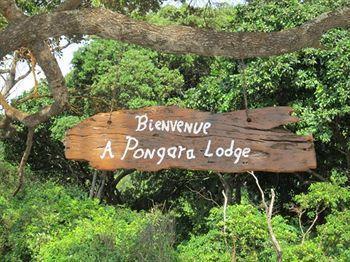 Pongara Lodge Libreville Zewnętrze zdjęcie